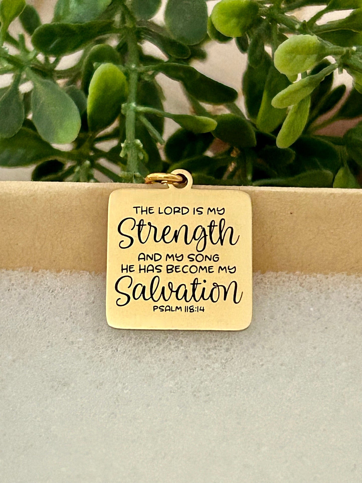 The Lord is My Strength Bible Verse Necklace, Psalm 118:14, Christian Gifts, Scripture Jewelry, Motivational Gifts, Prayer Necklace