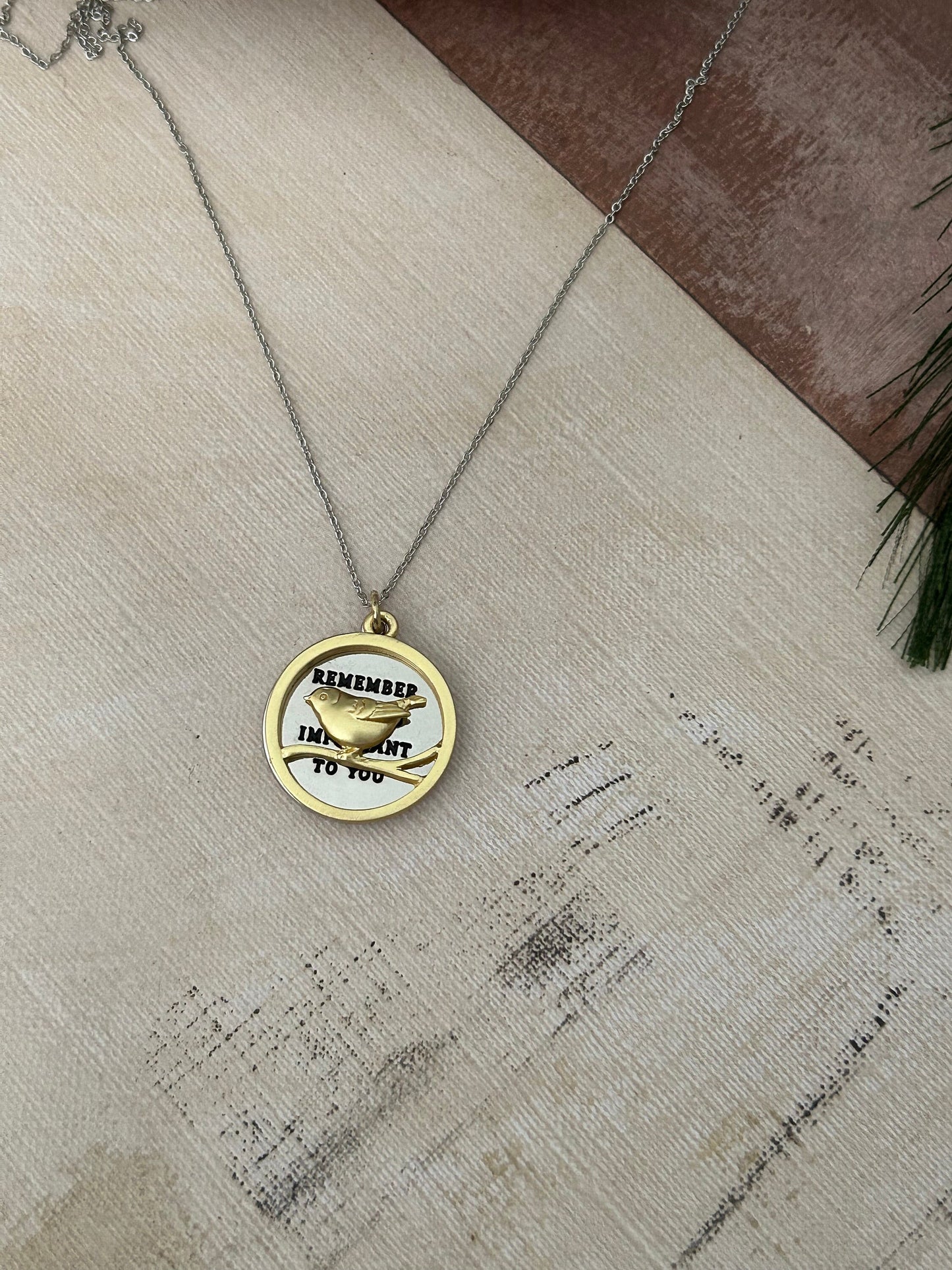 Remember what is important to you Bird Necklace, Motivational Inspirational Jewelry Two Layer Disc Pendant Self Care Charm, Bird Lovers Gift